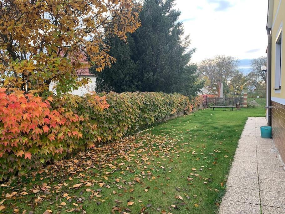 Ferienhaus Mit Garten In Thermennaehe Strebersdorf Exterior foto